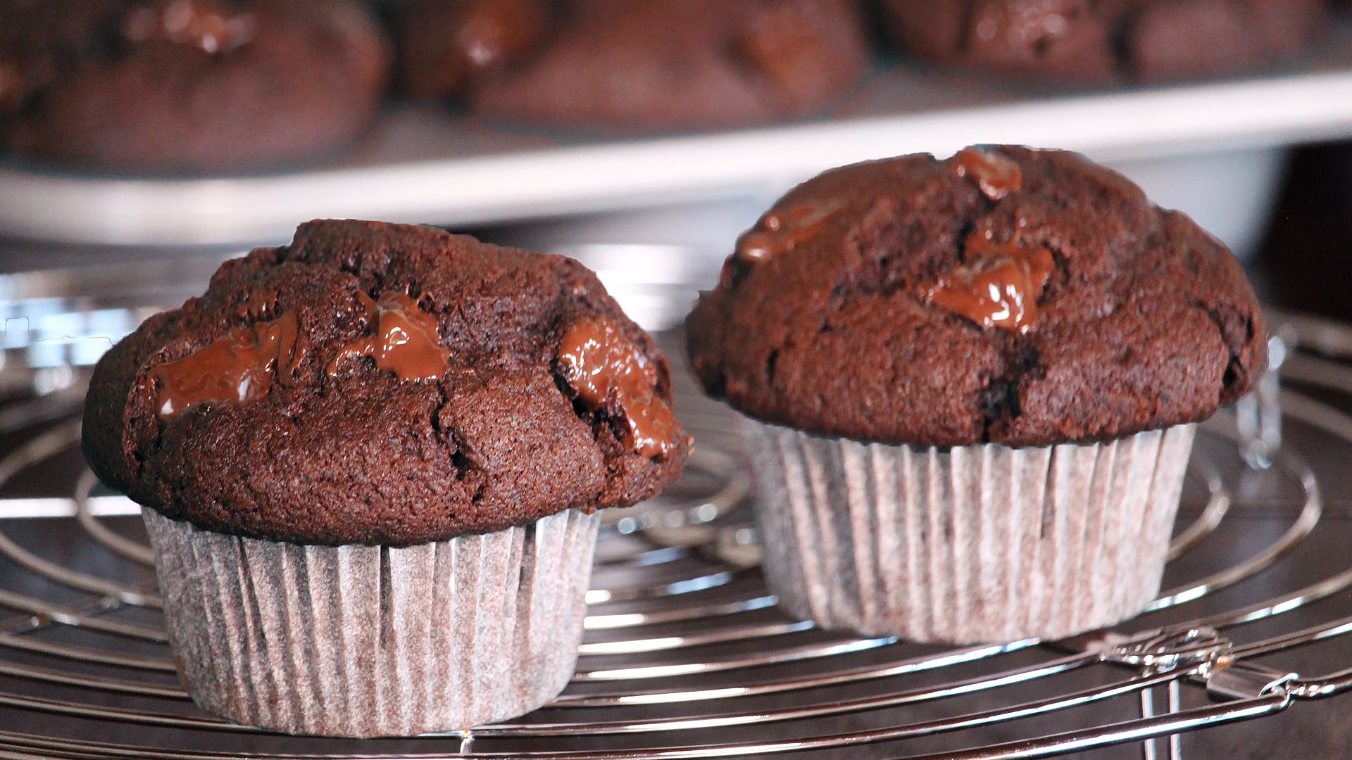 Chocolate Muffins