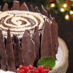 VERTICAL BUCHE DE NOEL