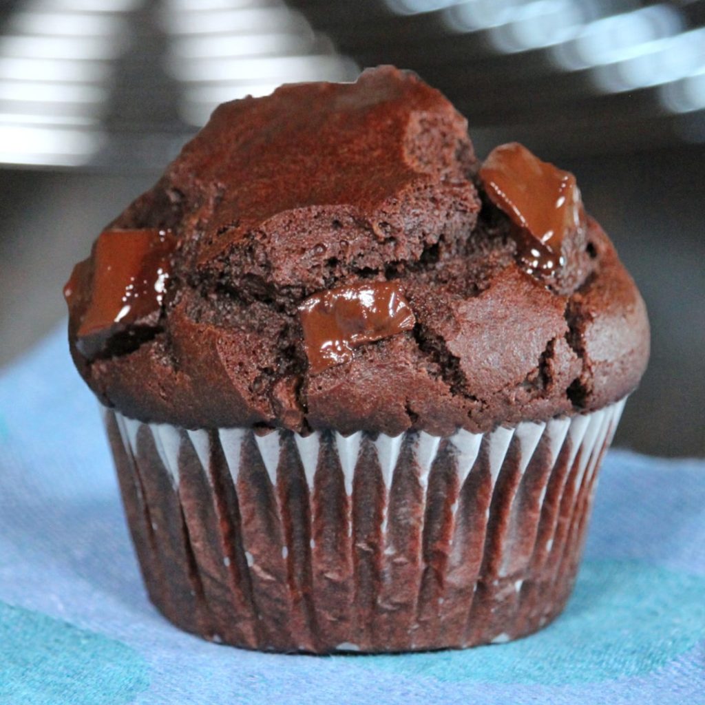 eggless chocolate muffins